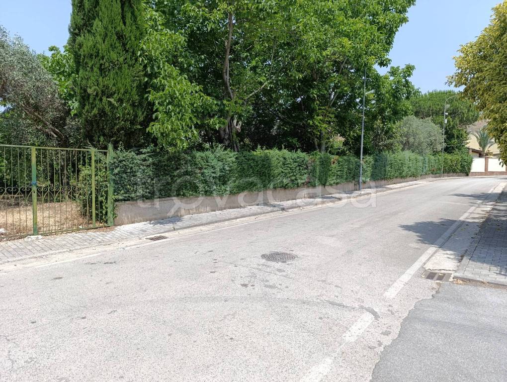 immagine annuncio 4 di 7