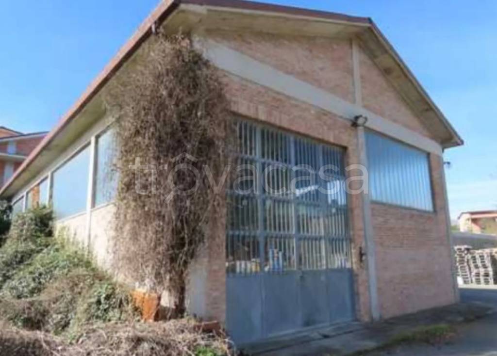 immagine annuncio 4 di 13