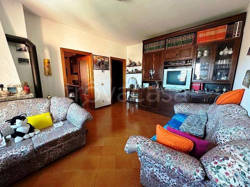 immagine annuncio 2 di 14