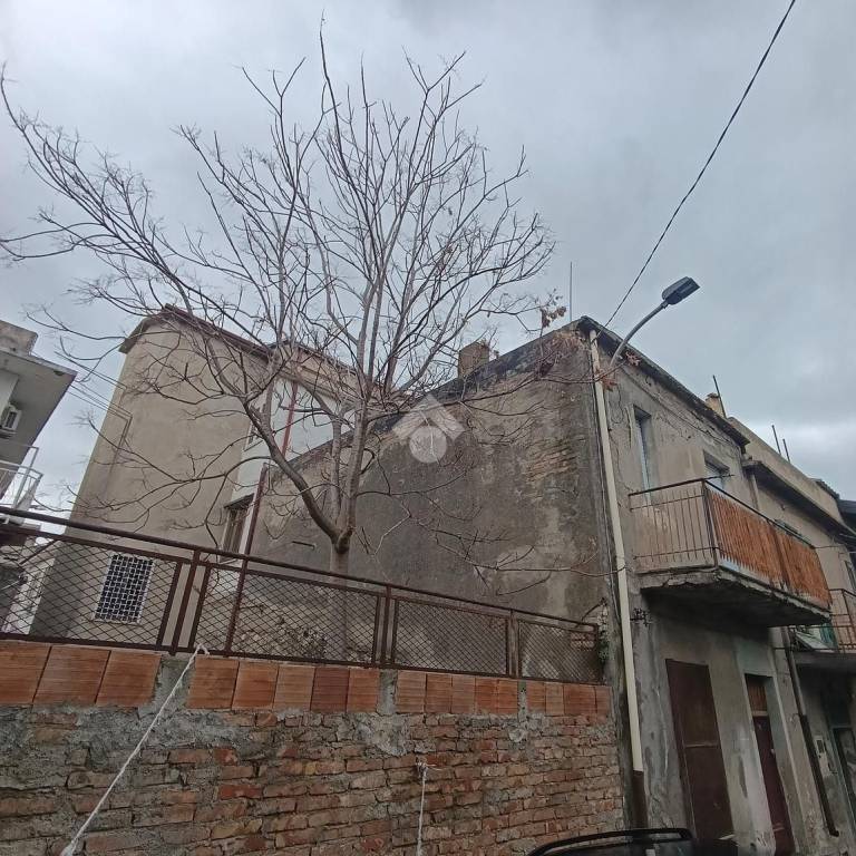 immagine annuncio 10 di 14