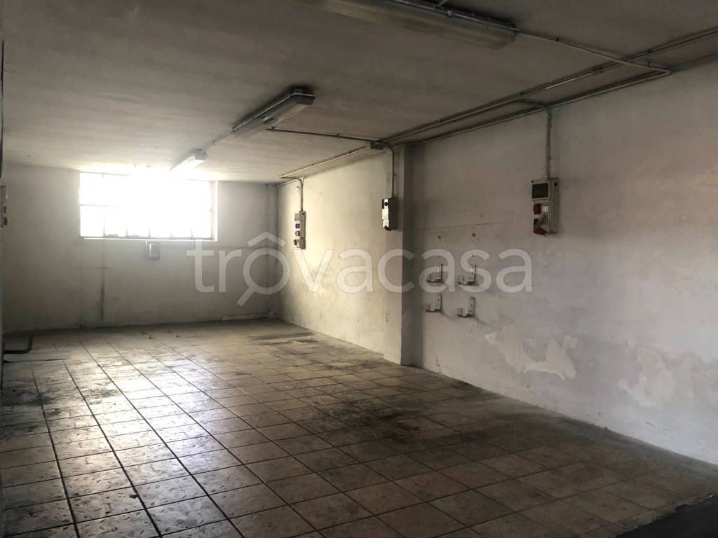 immagine annuncio 9 di 13