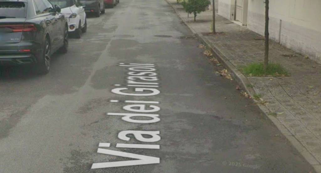 immagine annuncio 5 di 11