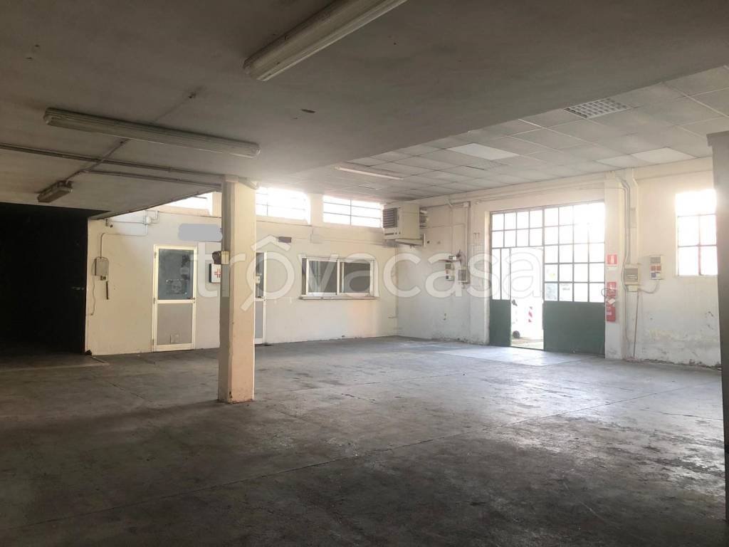 immagine annuncio 2 di 13