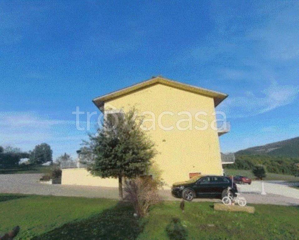 immagine annuncio 2 di 9