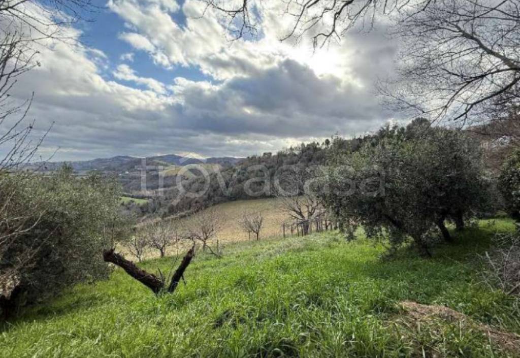 immagine annuncio 3 di 12