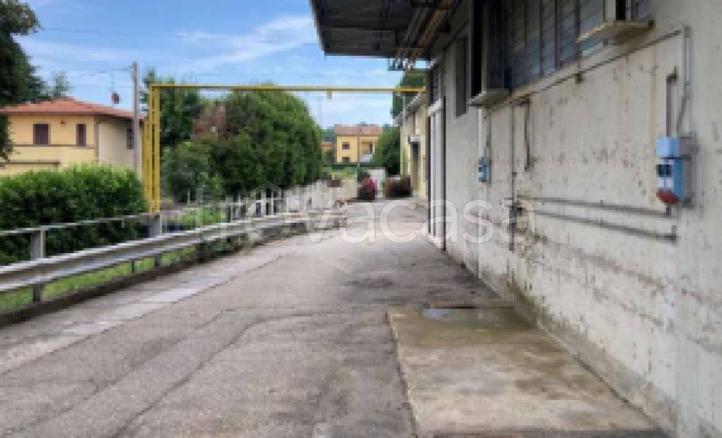 immagine annuncio 4 di 11