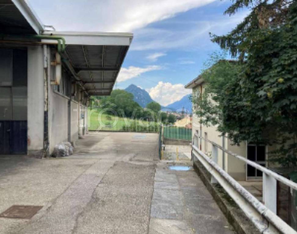 immagine annuncio 5 di 11