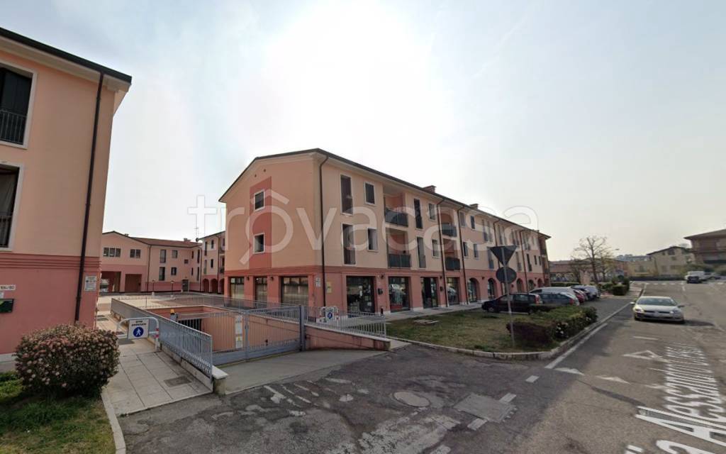 immagine annuncio 1 di 12