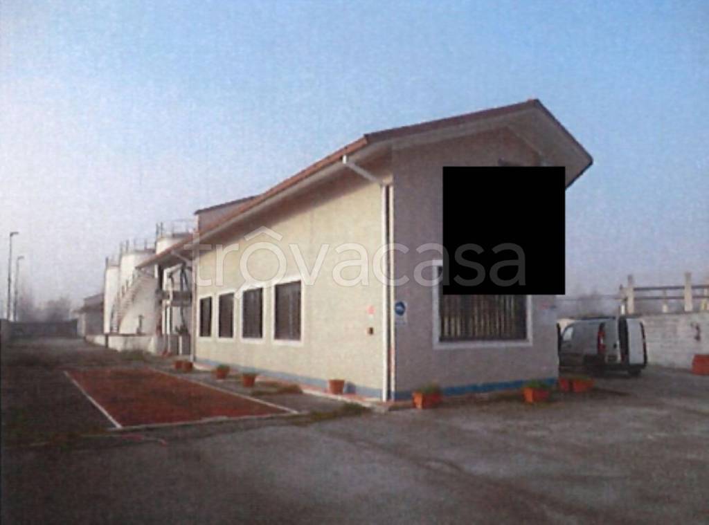 immagine annuncio 7 di 14