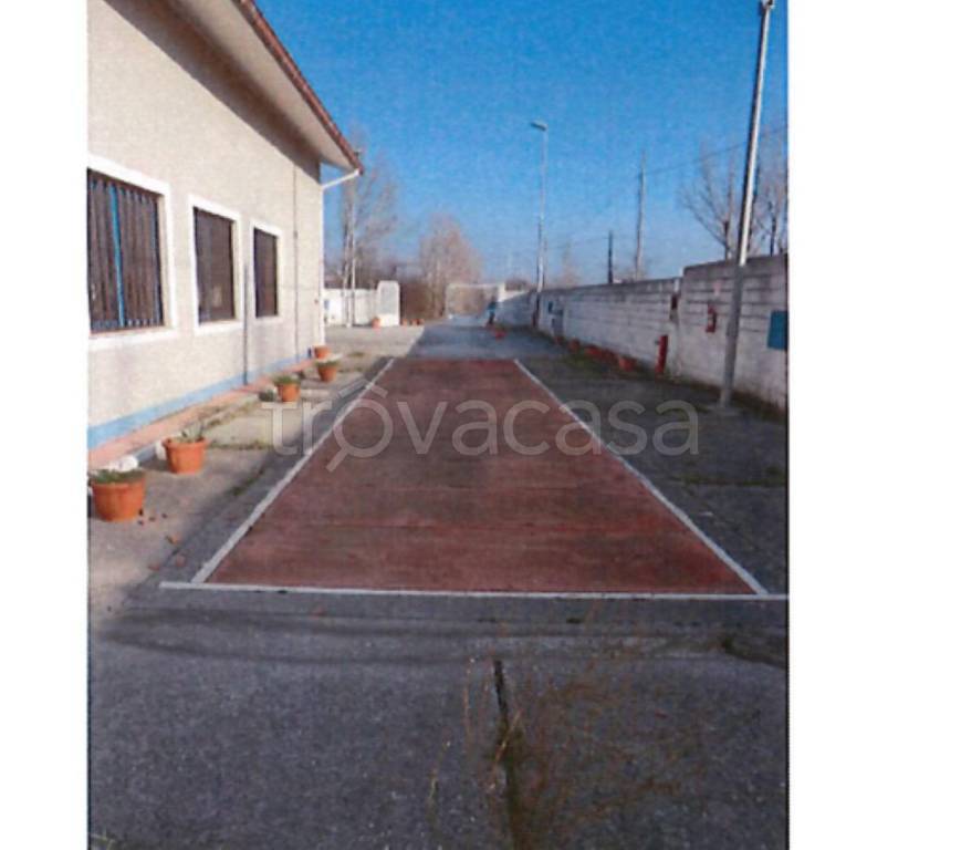 immagine annuncio 12 di 14