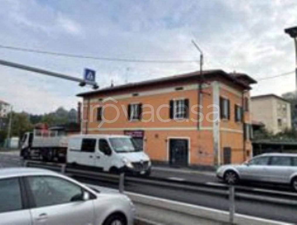 immagine annuncio 11 di 13