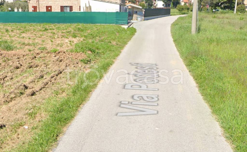 immagine annuncio 9 di 11