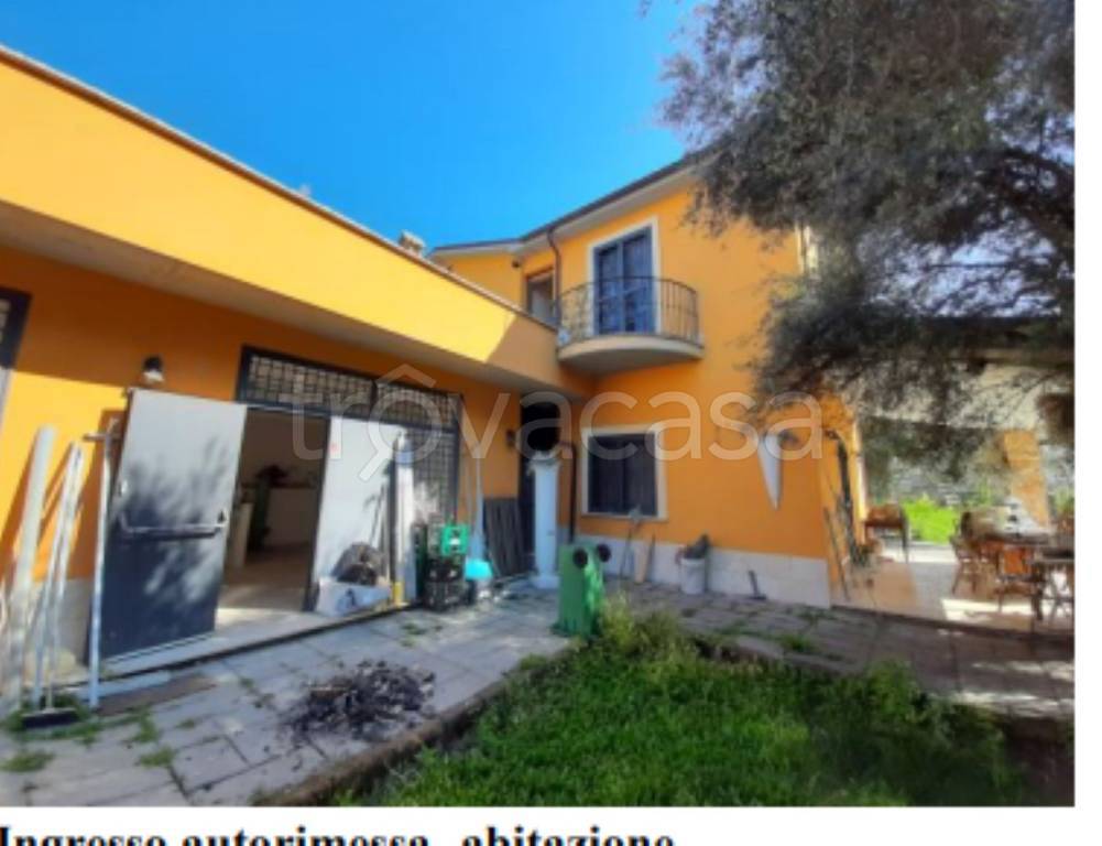 immagine annuncio 5 di 12