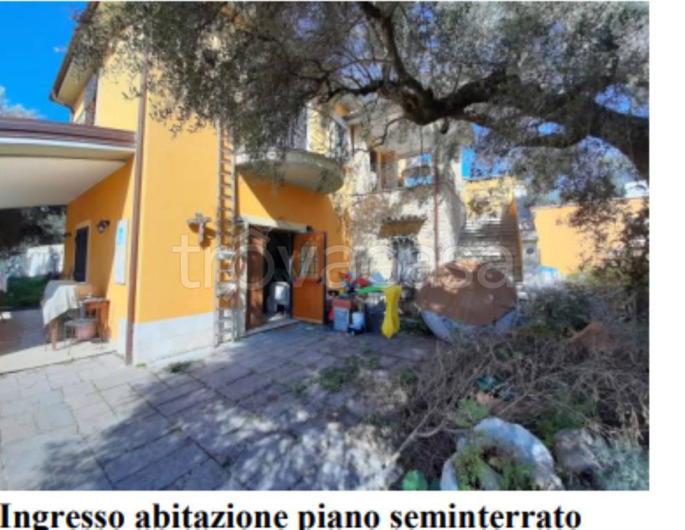immagine annuncio 6 di 12
