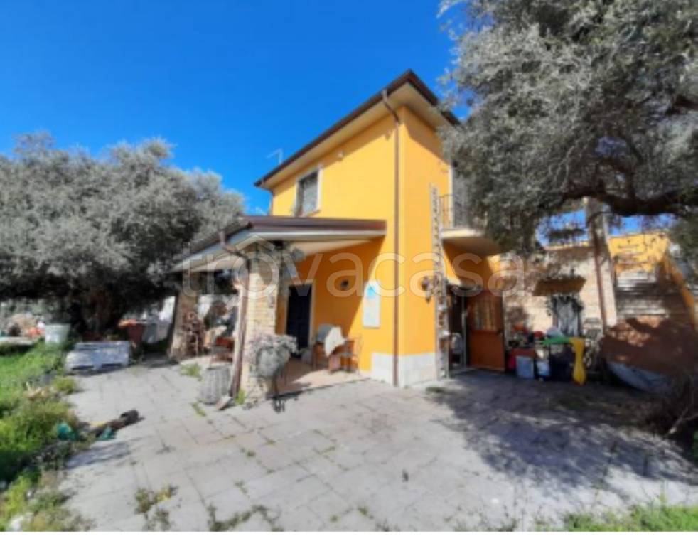 immagine annuncio 9 di 12