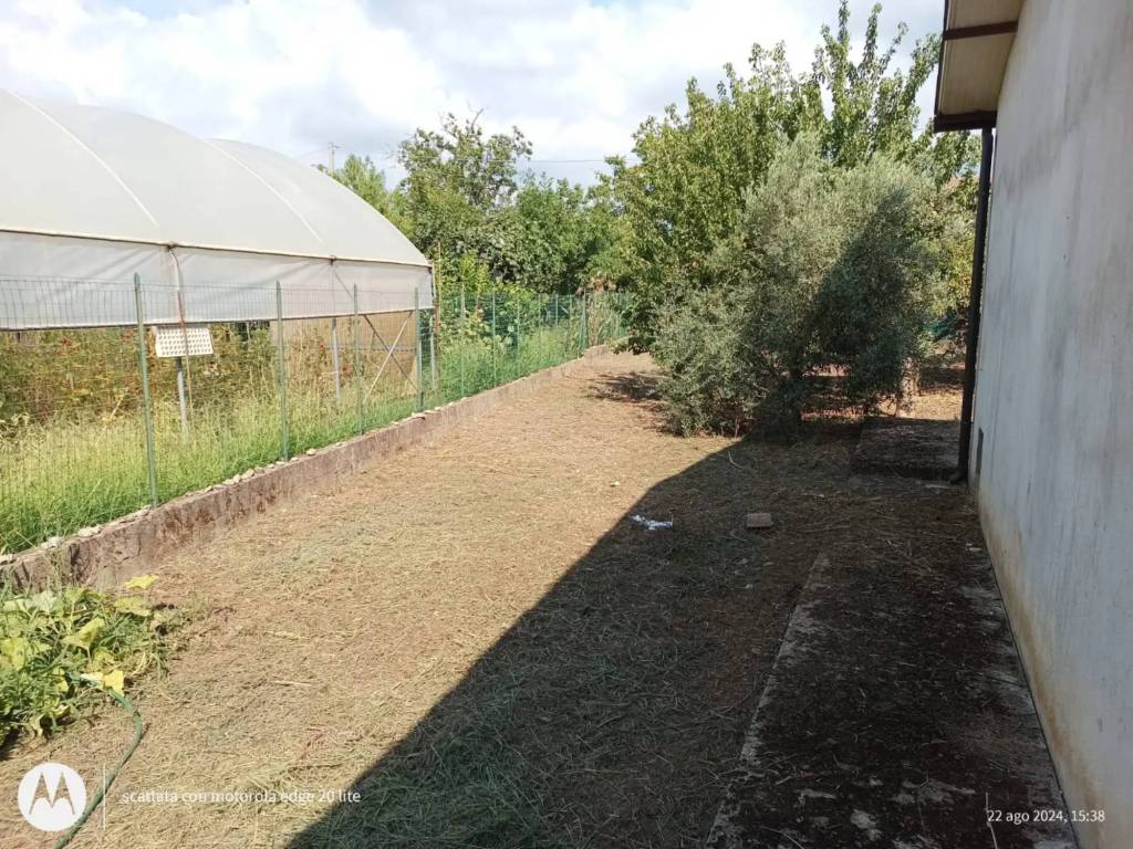 immagine annuncio 13 di 15