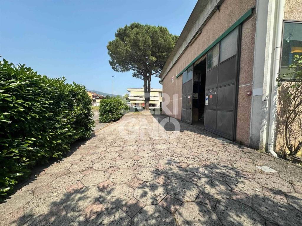immagine annuncio 14 di 15