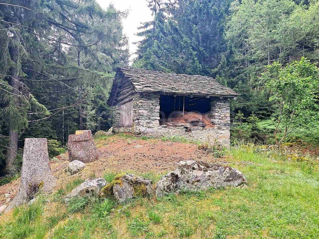 immagine annuncio 3 di 14