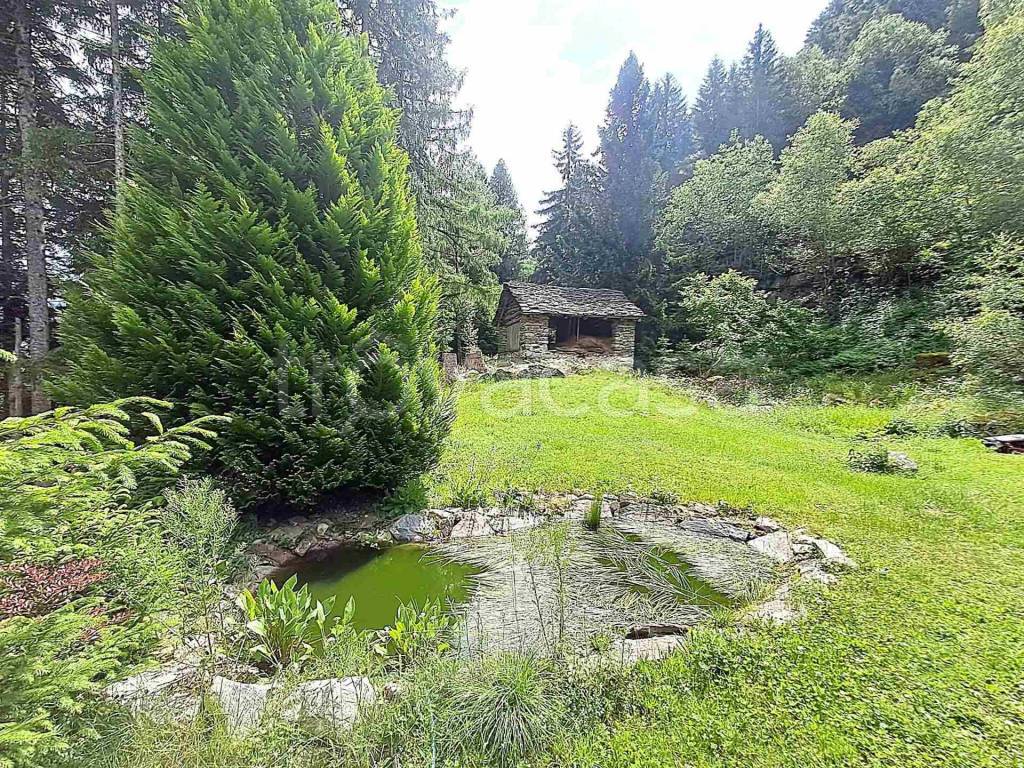immagine annuncio 9 di 14
