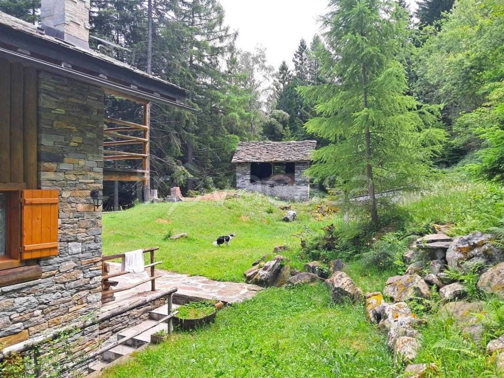 immagine annuncio 10 di 14