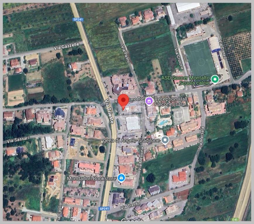 immagine annuncio 5 di 15