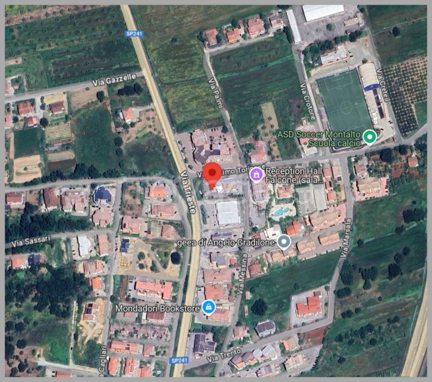 immagine annuncio 9 di 15
