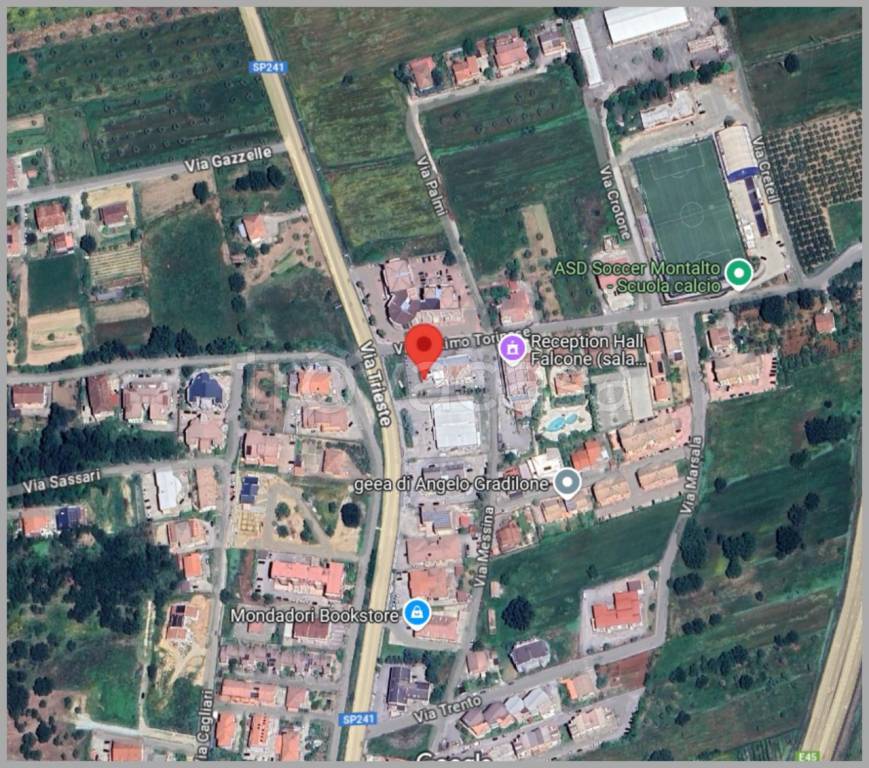 immagine annuncio 12 di 15