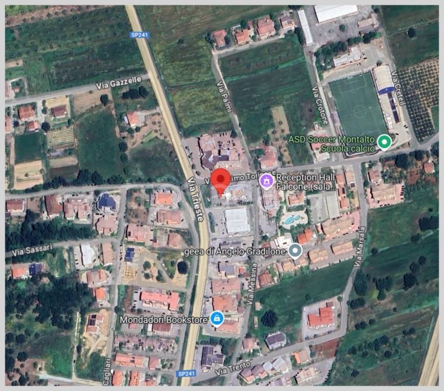 immagine annuncio 14 di 15