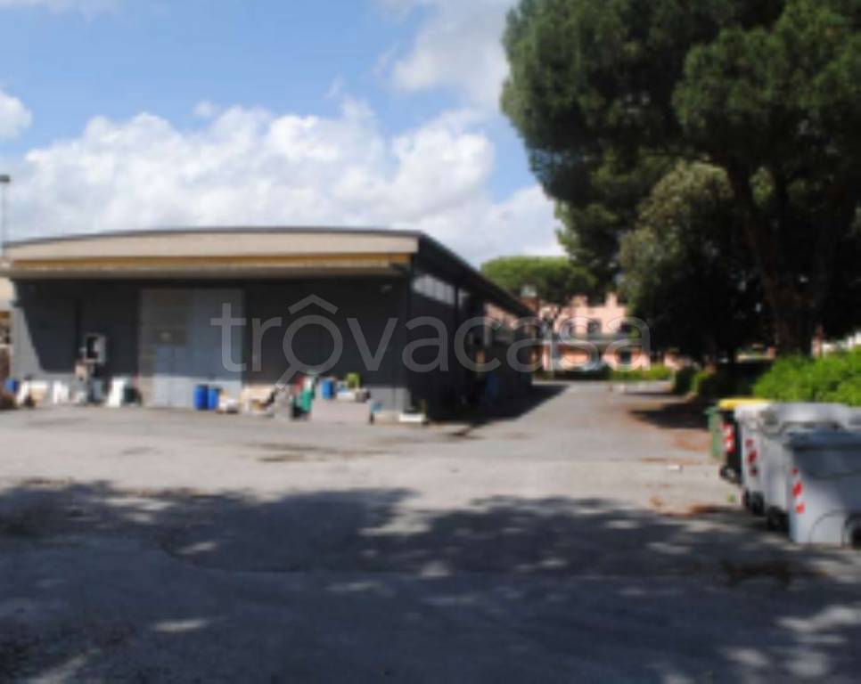 immagine annuncio 5 di 11