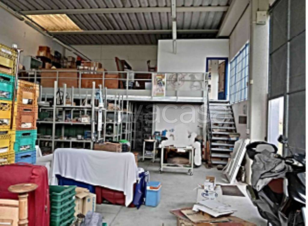 immagine annuncio 2 di 11