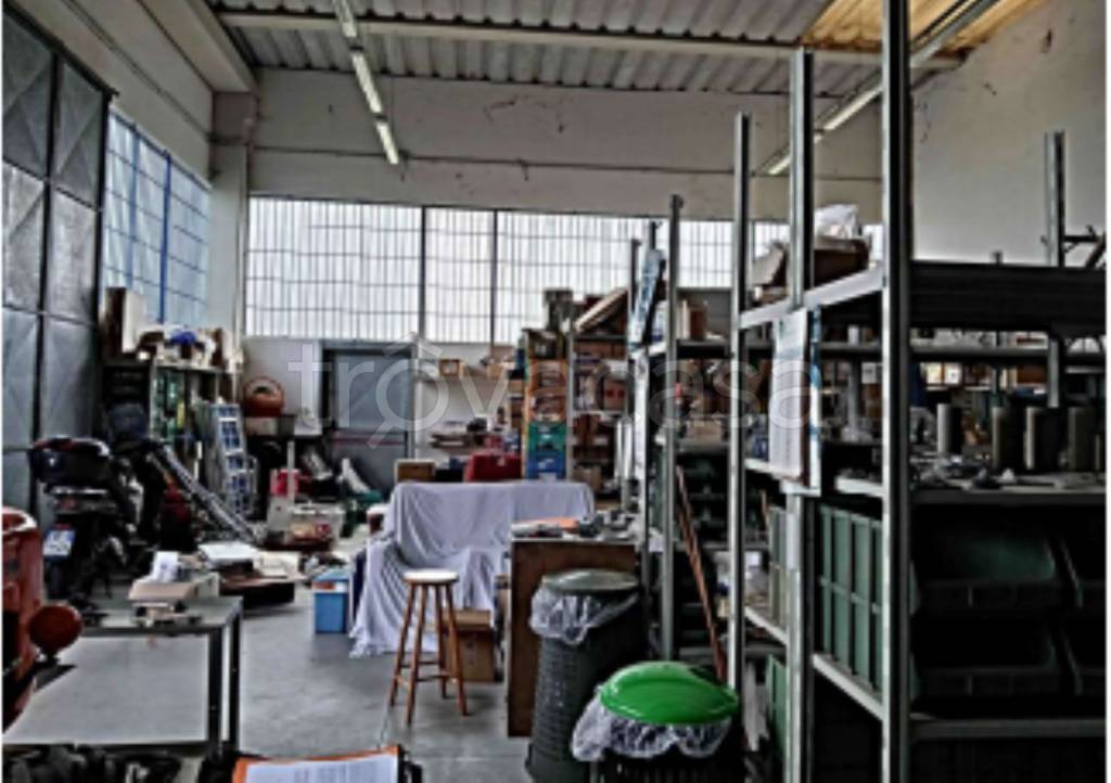 immagine annuncio 5 di 11