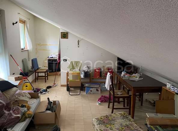 immagine annuncio 2 di 7