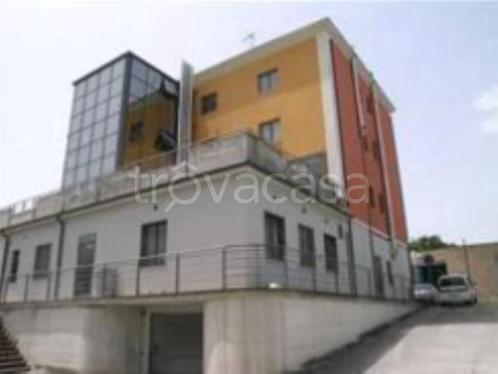 immagine annuncio 8 di 11