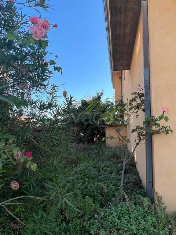 immagine annuncio 2 di 3