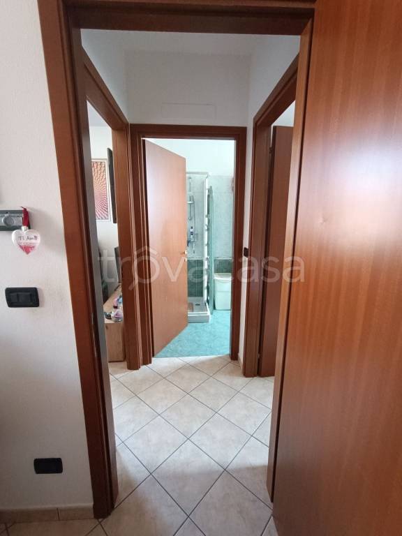immagine annuncio 9 di 14