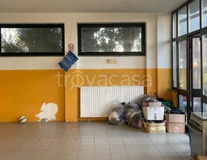 immagine annuncio 6 di 14
