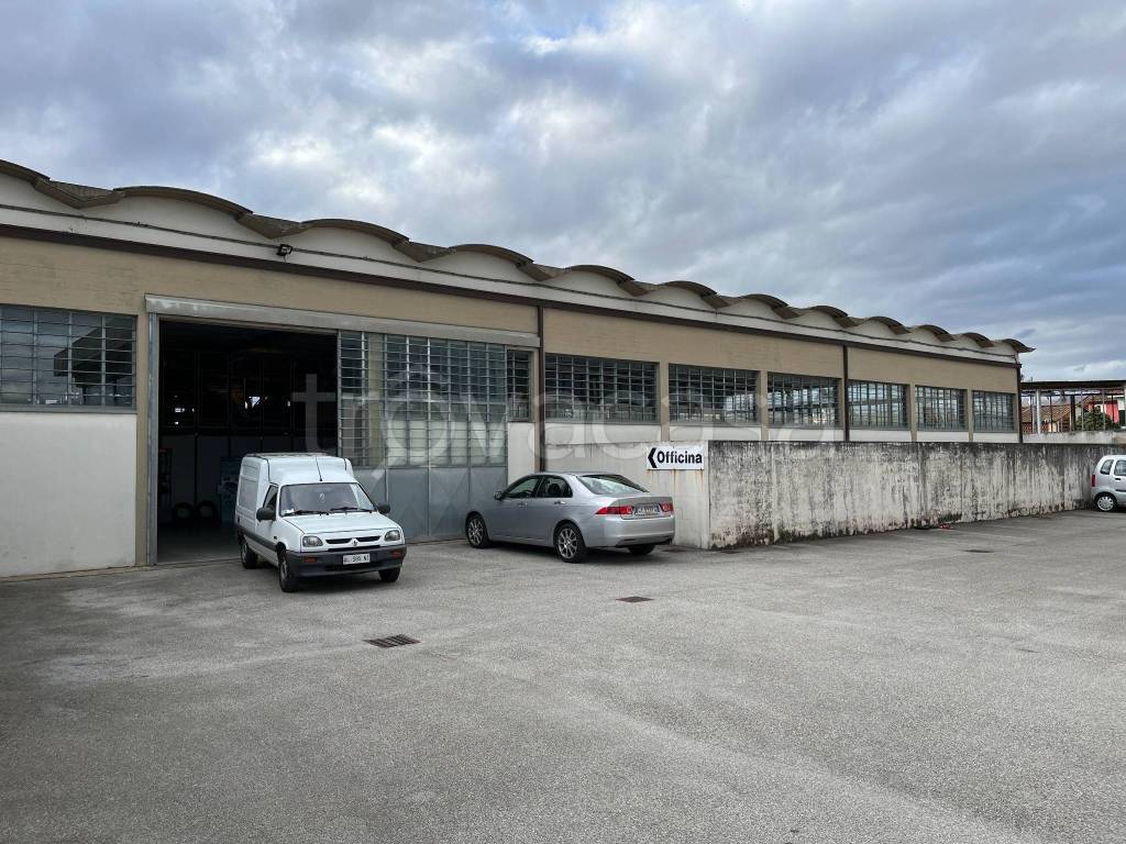 immagine annuncio 10 di 13