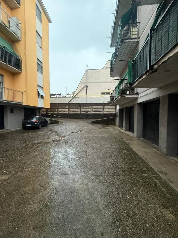 immagine annuncio 6 di 13