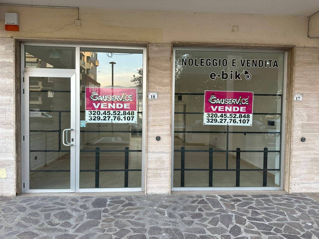 immagine annuncio 2 di 12