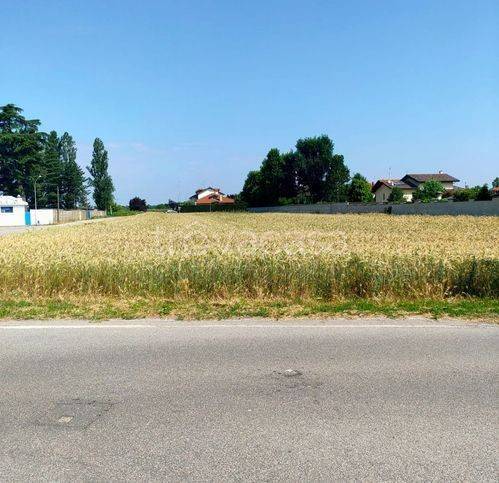 immagine annuncio 1 di 14