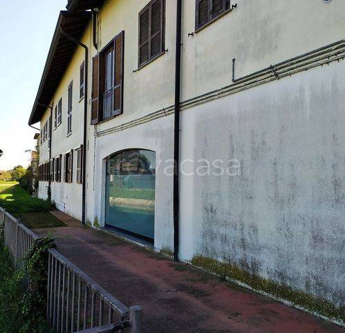 immagine annuncio 2 di 11