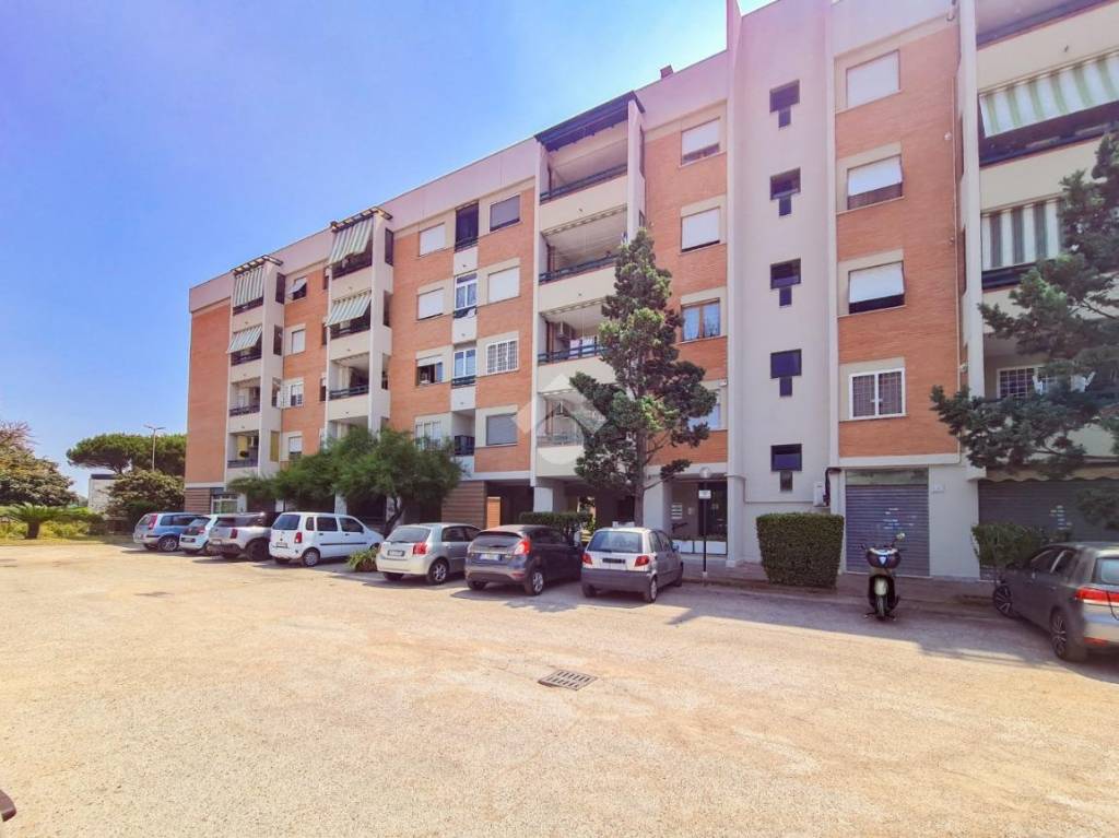 immagine annuncio 8 di 15