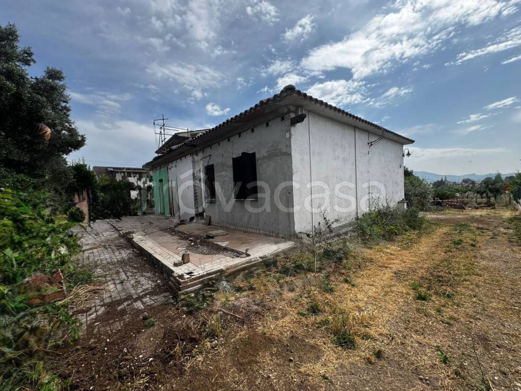 immagine annuncio 8 di 14