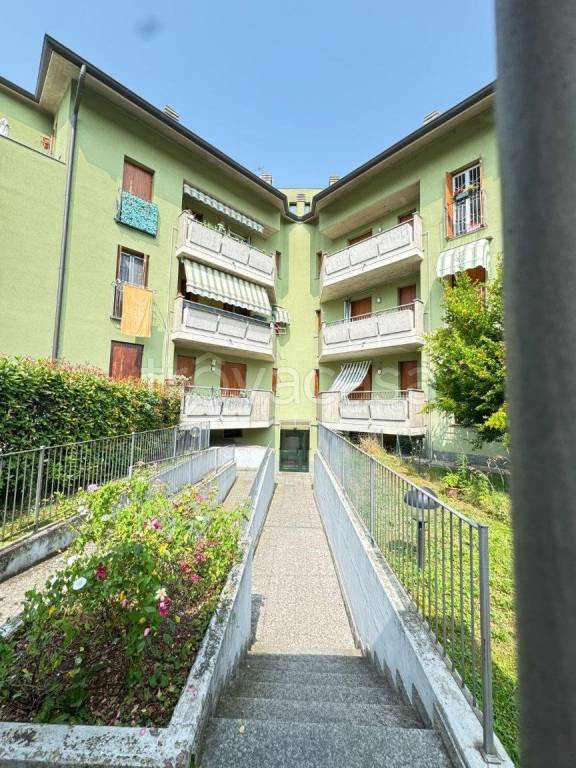 immagine annuncio 4 di 14