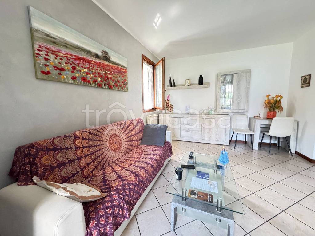 immagine annuncio 7 di 14