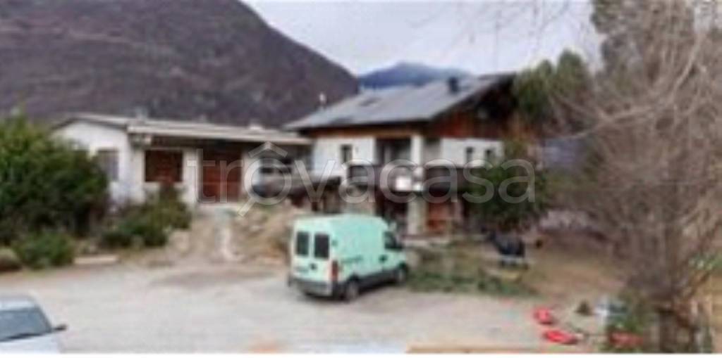 immagine annuncio 2 di 11