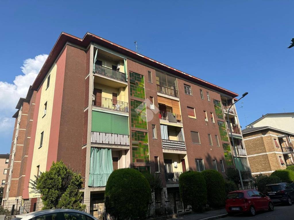 immagine annuncio 9 di 15