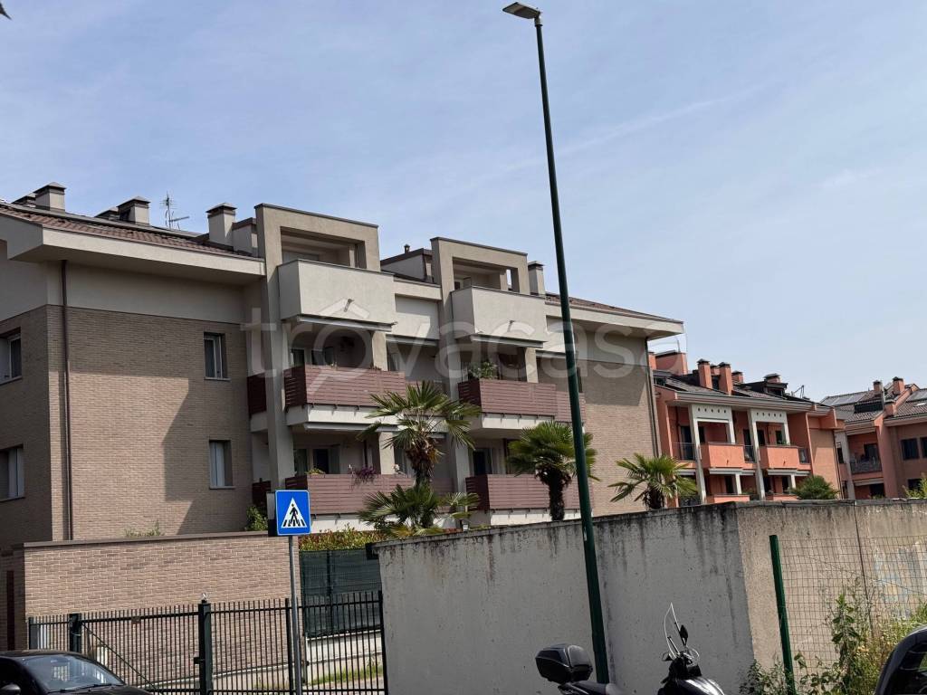 immagine annuncio 6 di 9