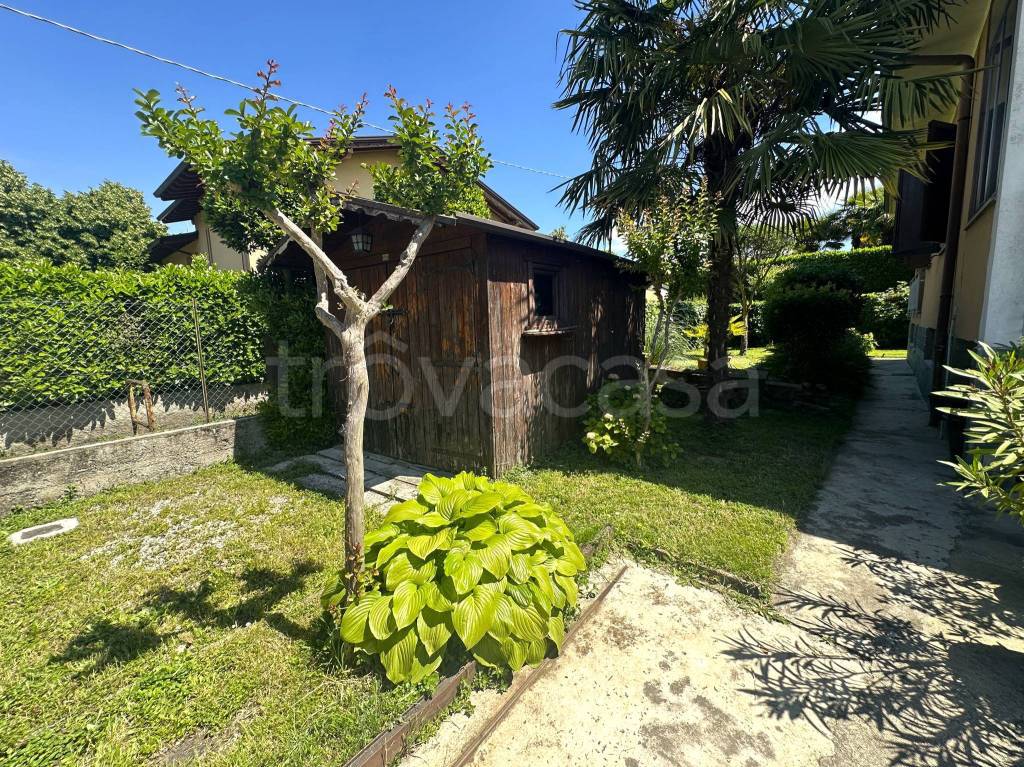 immagine annuncio 2 di 15