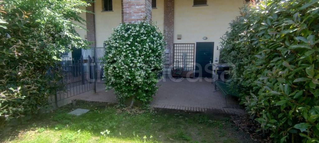immagine annuncio 1 di 13